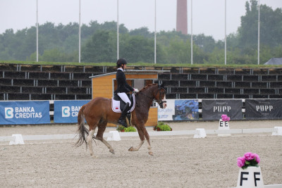 FEI Ponies Individual – CDI Olomouc – 24. 5. 2024