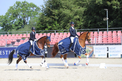 CDI in Olomouc confirms that dressage hopes are high in the Czech Republic