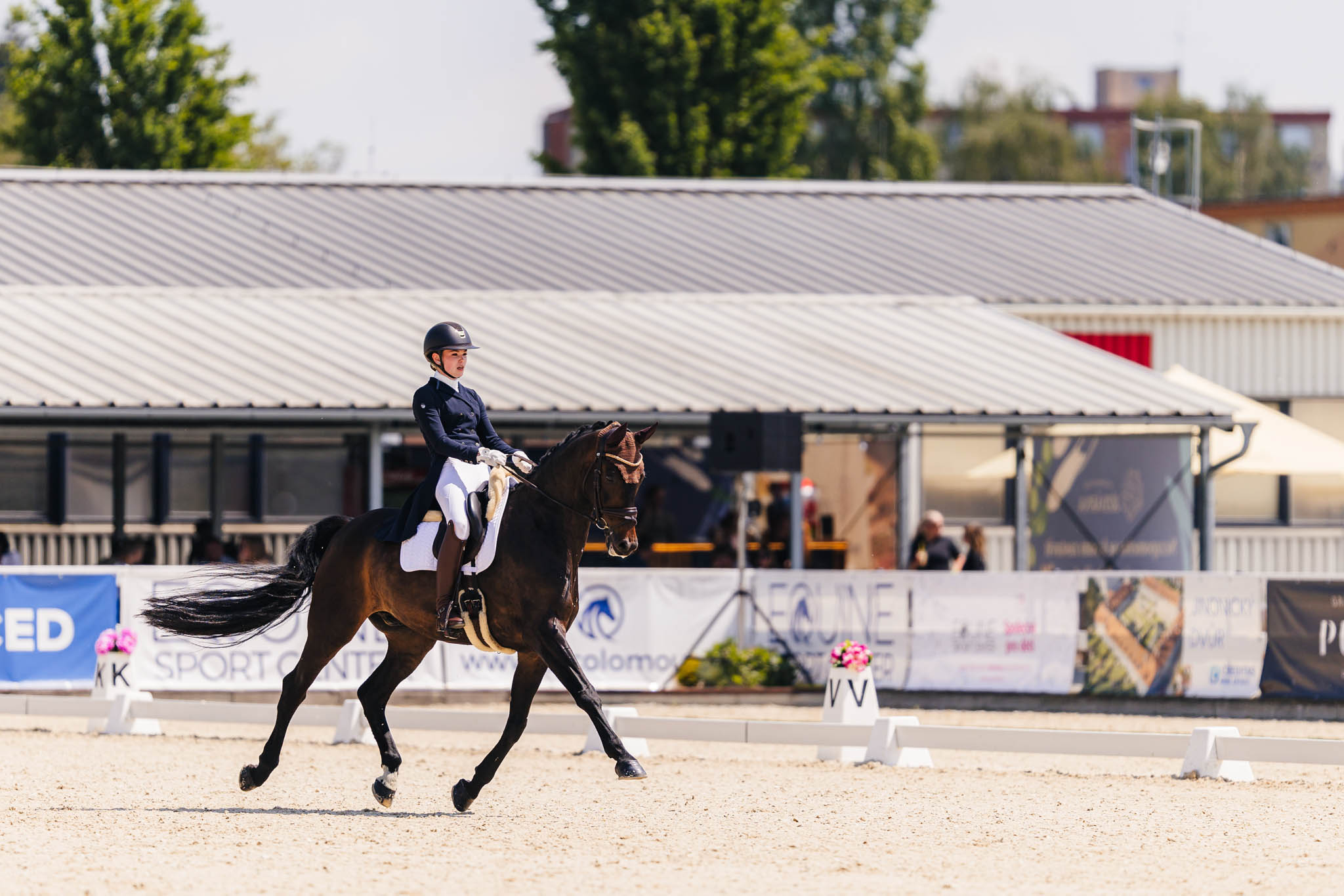 Do Olomouce dorazí na mistrovství Evropy v drezuře 119 sportovců z 24 zemí