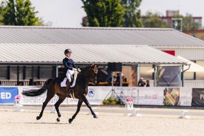 Do Olomouce dorazí na mistrovství Evropy v drezuře 119 sportovců z 24 zemí